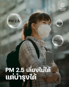 PM 2.5 เลี่ยงไม่ได้ แต่บำรุงได้