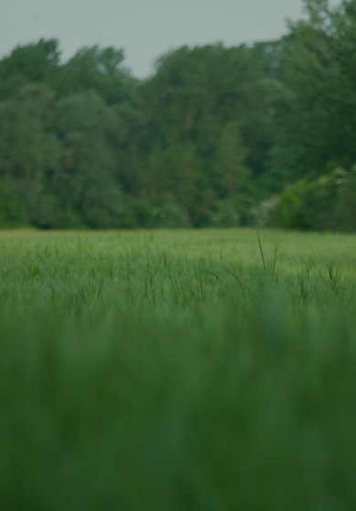 contact background